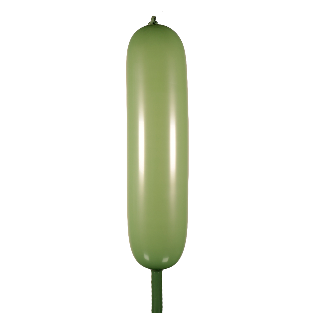 Aguacate Estándar 360