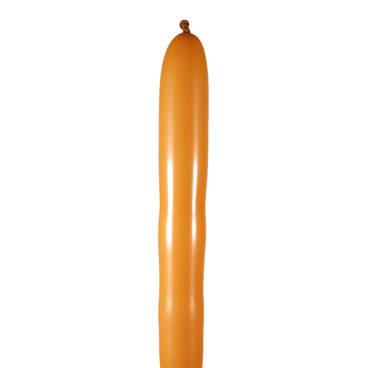 Camello 260 Premium