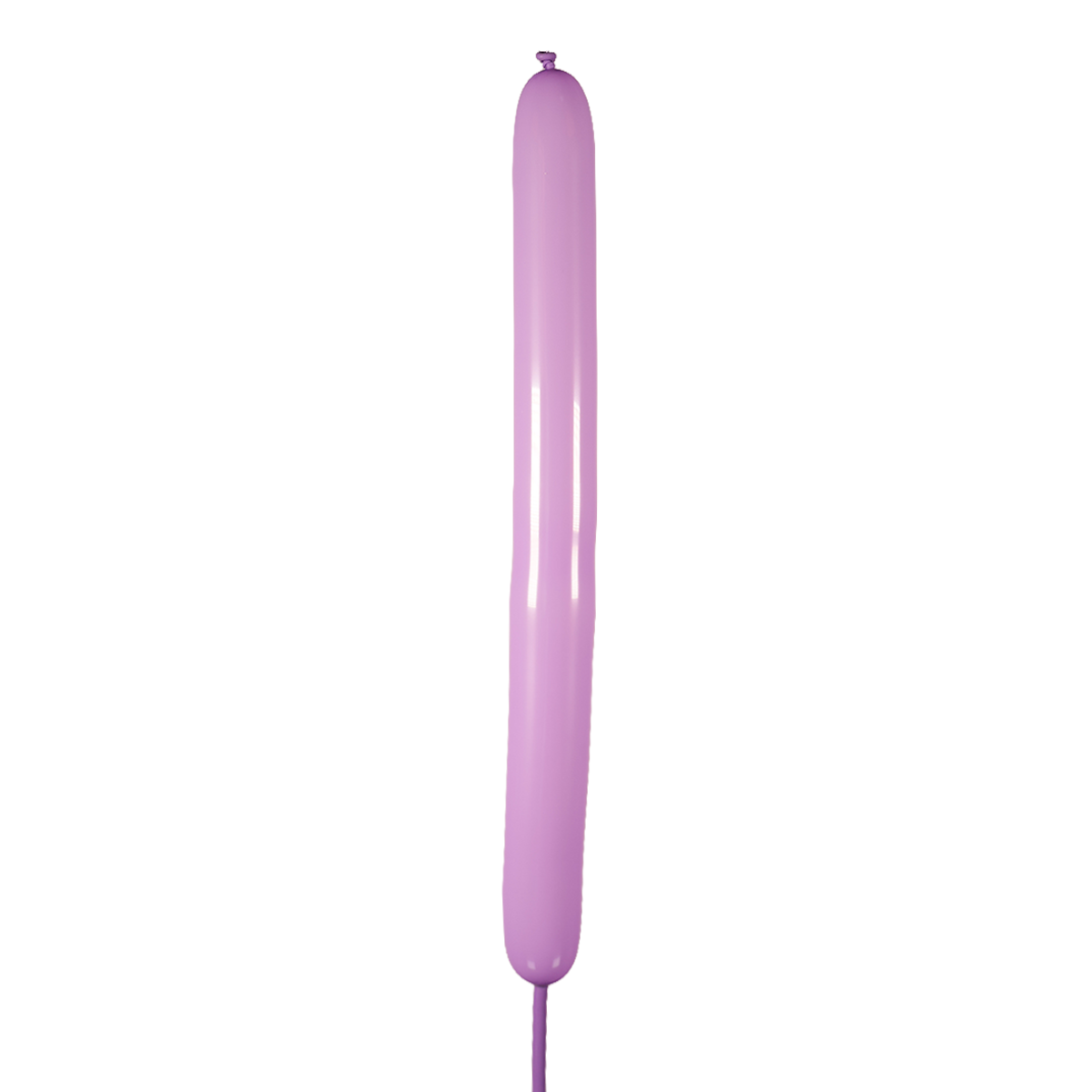 Lavanda Estándar 160