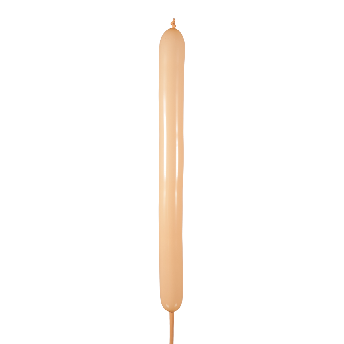 Piel Estándar 160
