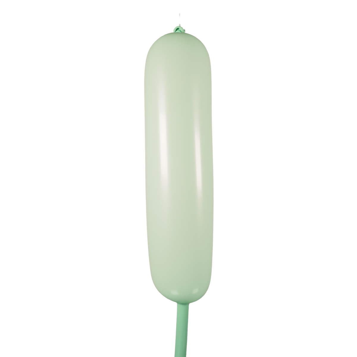 Verde Pastel 360