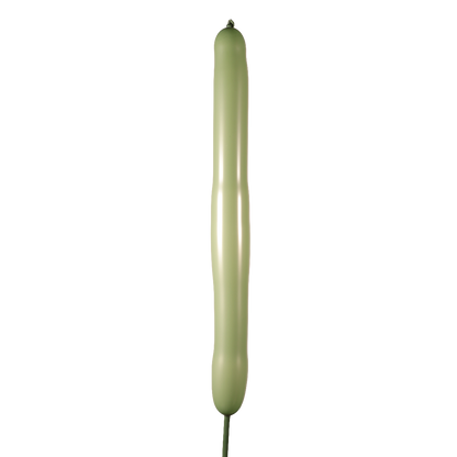 Aguacate Estándar 160