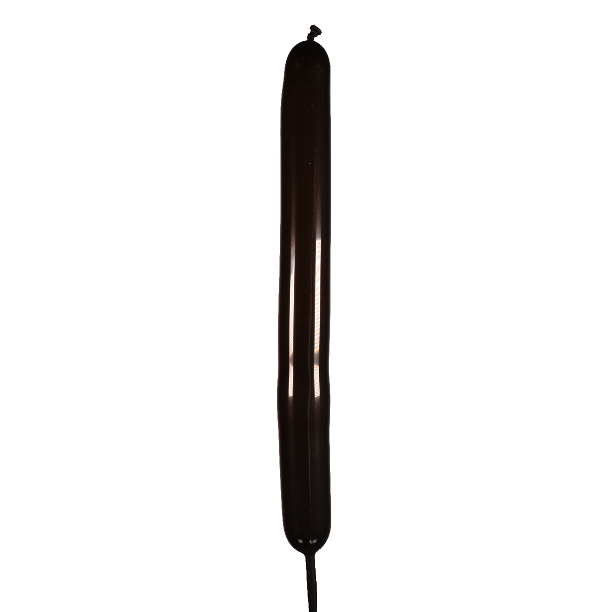 Negro Estándar 160