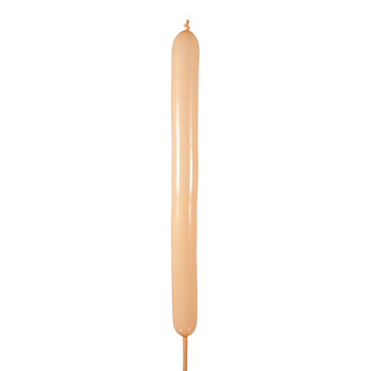 Piel Estándar 160