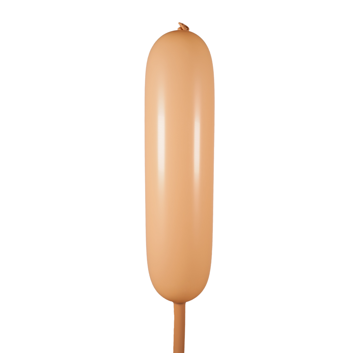 Piel Estándar 360