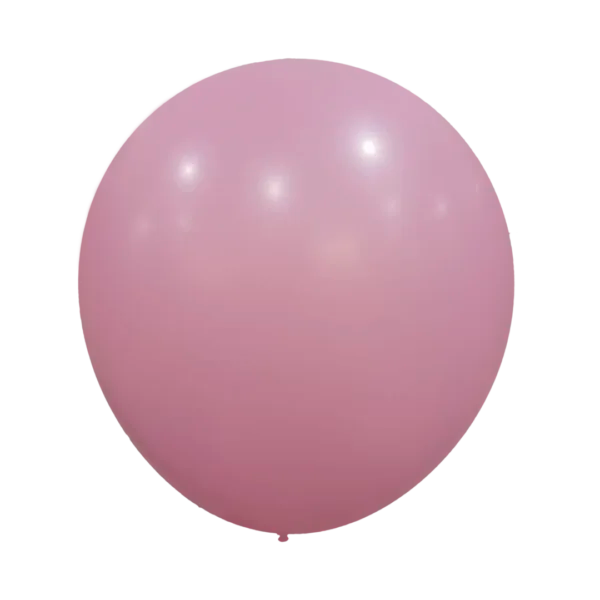 Rosa Estándar 36″